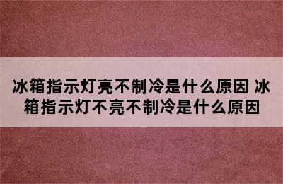 冰箱指示灯亮不制冷是什么原因 冰箱指示灯不亮不制冷是什么原因